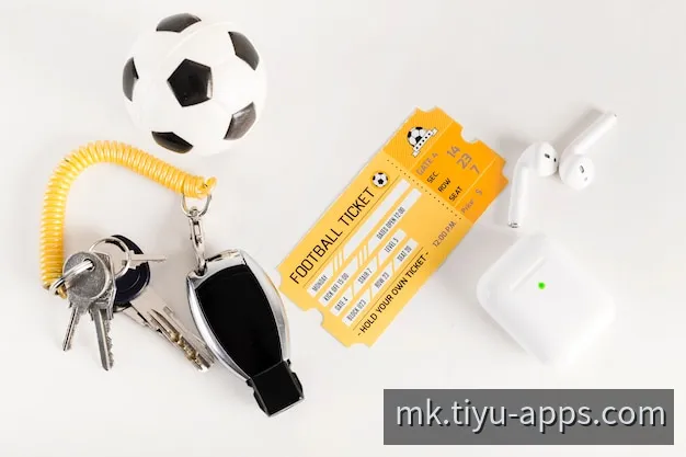 MK体育与娱乐移动应用核心终端体验